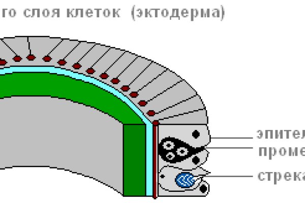 Кракен клирнет ссылка