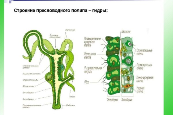 Актуальное зеркало на кракен