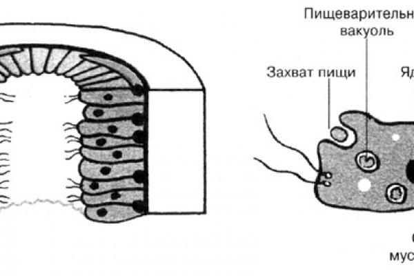 Ссылки на даркнет сайты